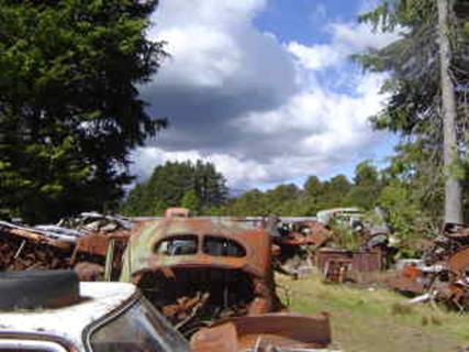 A New Zealander who now lives in London and owns several classic cars calls 