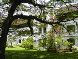 Central courtyard garden