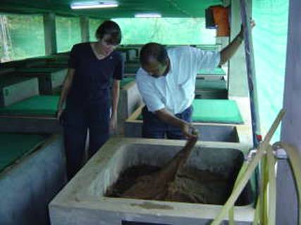 Food Composting