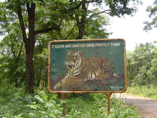 Through a wildlife reserve